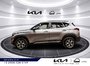 2023 Kia Seltos EX Premium-6