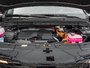 2026 Kia Carnival HEV SX+-5