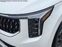 2026 Kia Carnival LX-9