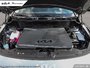 2025 Kia Niro EV Wave-5