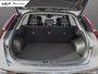 2025 Kia Niro EV Wave-6