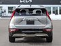 2025 Kia Niro EV Wave-4