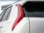 2025 Kia Niro HEV EX-10