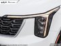 2025 Kia SORENTO PHEV EX-9