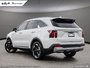 2025 Kia SORENTO PHEV EX-3