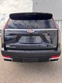 2023 Cadillac Escalade 4WD Premium Luxury