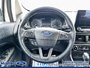 2021 Ford EcoSport SES