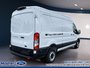 2025 Ford Transit VanWagon Cargo Van