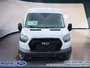 2025 Ford Transit VanWagon Cargo Van