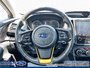 2023 Subaru Crosstrek Outdoor