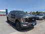 Ford F-150 XLT 2022-4