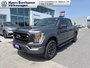 Ford F-150 XLT 2022-1