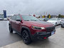 Jeep Cherokee Trailhawk  -  Heated Seats 2021-4
