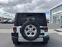 Jeep Wrangler Sahara  -  A/C 2014-6