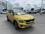 2021 Kia Seltos EX Premium-5