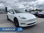 Tesla Model Y Performance  - Sport Package 2021-3