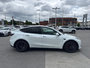 Tesla Model Y Performance  - Sport Package 2021-4