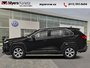 2019 Toyota RAV4 FWD LE  - Heated Seats -  Apple CarPlay-0