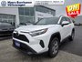 2024 Toyota RAV4 XLE  - Sunroof -  Power Liftgate-0