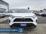 2024 Toyota RAV4 XLE  - Sunroof -  Power Liftgate-2