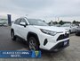 2024 Toyota RAV4 XLE  - Sunroof -  Power Liftgate-3