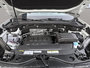 Volkswagen Atlas Peak Edition 2.0 TSI  - Sunroof 2025-5