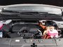 2026 Kia Carnival HEV LX+-5