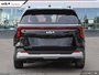 2025 Kia Carnival LX+-4