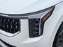 2026 Kia Carnival LX+-8