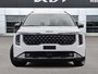 2026 Kia Carnival SX+-1