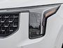 2026 Kia Carnival SX+-8