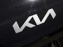 2026 Kia Carnival LX-8