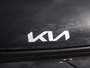 2025 Kia EV6 Land AWD w/ Premium Pkg-7
