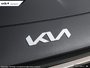 2025 Kia NIRO EX-6