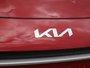 2026 Kia Niro HEV EX-8