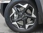 2025 Kia Seltos EX PREMIUM-6