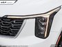 2025 Kia Sorento Plug-In Hybrid EX-9