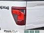 2024 Ford F-150 XLT APPLE CARPLAY / ANDROID AUTO / HEATED SEATS / EXTENDED BED