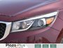 2016 Kia Sedona SX