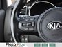 2016 Kia Sedona SX