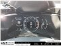 2022 Lexus NX 350
