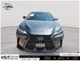 2022 Lexus NX 350