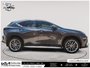 2022 Lexus NX 350