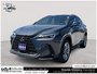 2024 Lexus NX 350h LEATHER | HYBRID | LUXURY