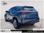 2024 Lexus NX 350h LEATHER | HYBRID | LUXURY