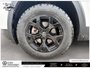 2024 Volkswagen Atlas Peak Edition 4MOTION AWD | Peak Edition | 5,000-lb Towing