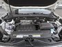 2025 Volkswagen Atlas Peak Edition No Options / Pure White