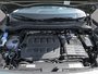 2025 Volkswagen Tiguan Comfortline Pano Roof / Avacado Green