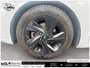 2023 Hyundai Elantra Preferred