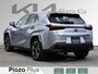 2024 Lexus UX 250h